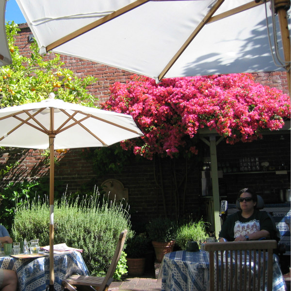 都市中心的秘密——旧金山深藏的超美花园餐厅