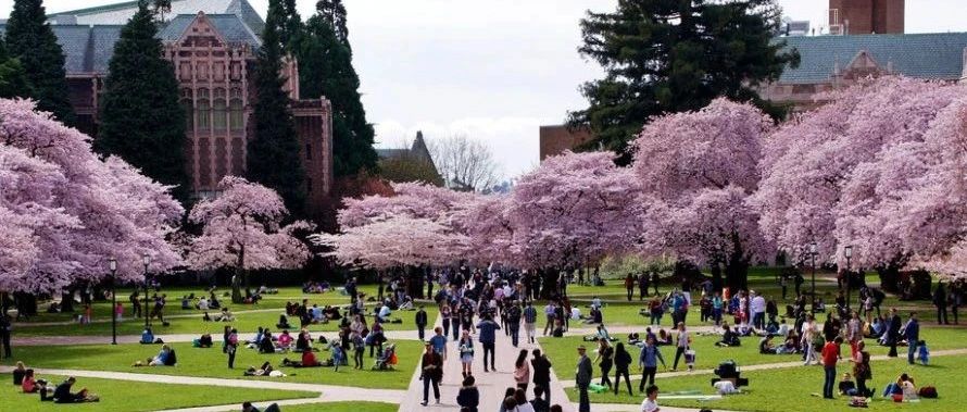 西雅图留学生可以松口气! 哈佛MIT联名上诉成功, 疫情期间在美国上网课学生身份保住了!