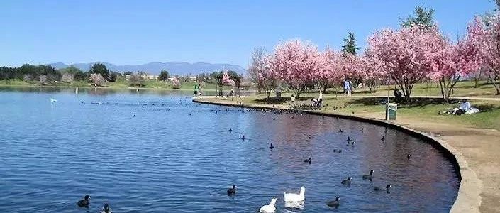 In Los Angeles during the epidemic, you can also go to these parks, beaches, and lakes to relax...
