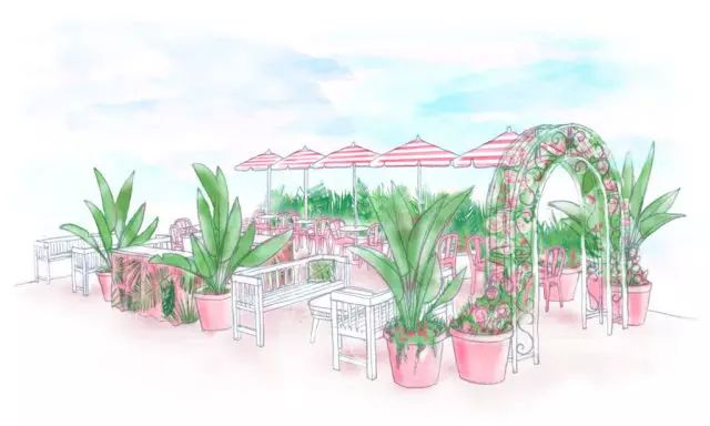 520特别期 | 华盛顿开出一座梦幻“粉红酒花园” 只想和你一起浪漫微醺