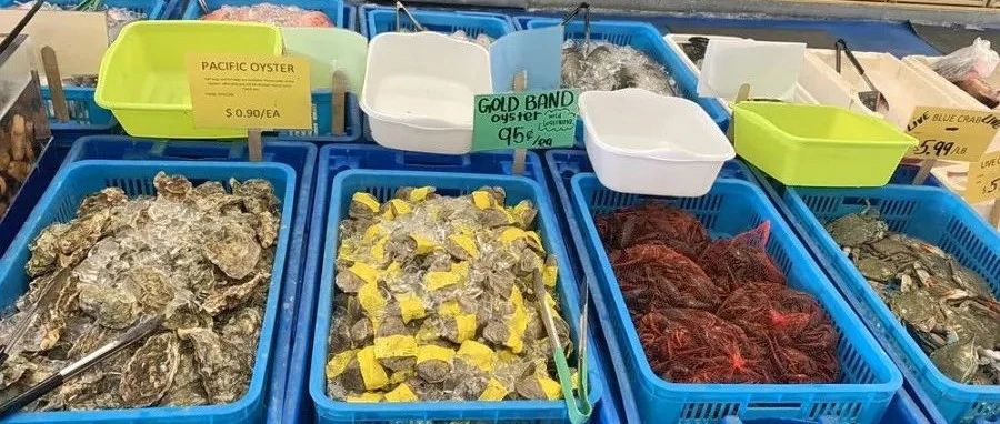 湾区要关活体动物市场, 牛蛙、鳝鱼吃不到了? 你同意吗？