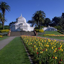 Spring is good to go out-San Francisco Park Travel Guide